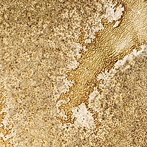 Wurtz Honeycomb