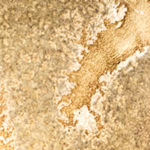 Wurtz Honeycomb