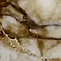 Giallo Siena