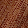 FIGURED BLACK WALNUT DANISH OIL